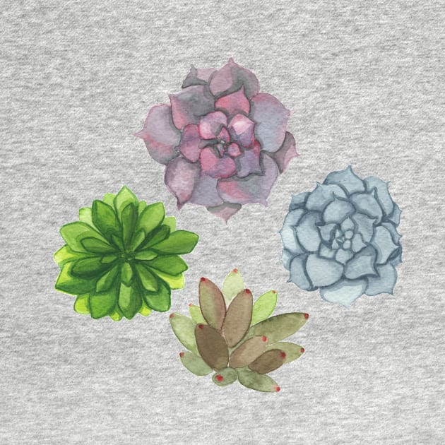 Succulents by WoodlandElm